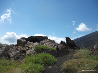 nte Nero delle Concazze-30-06-2013 10-34-26